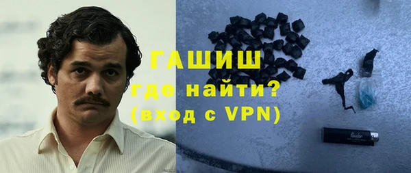 индика Алексин