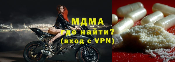индика Алексин