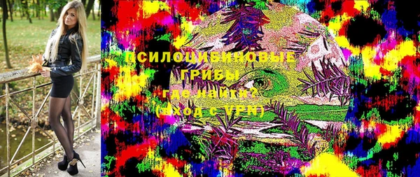 индика Алексин