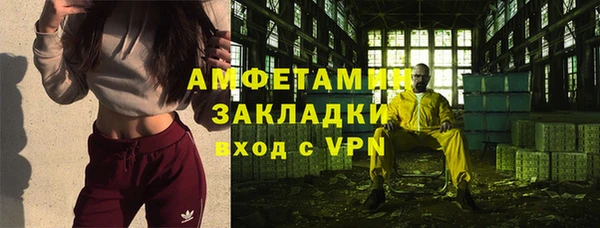 индика Алексин
