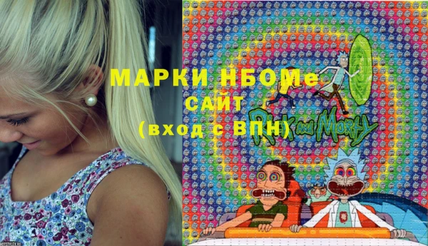 индика Алексин