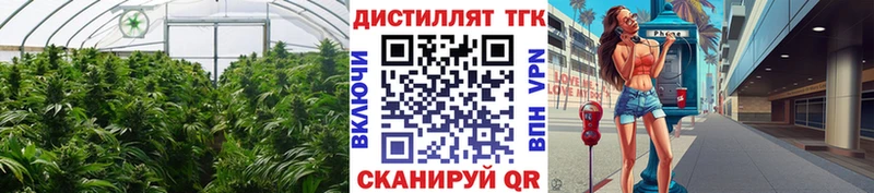 Дистиллят ТГК жижа  магазин продажи   Чебаркуль 